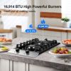 Gas Cooktop 12 Inch, Bulit-in Propane Stove 2 burner, Stainless Steel /Tempered Glass Gas Stove Top, 2 Burner Propane Cooktop